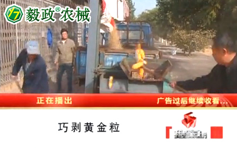 中央電視臺(tái)10套《我愛(ài)發(fā)明》之“巧剝黃金?！卑l(fā)明人袁毅